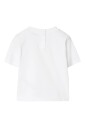 cedre-blanc-modele-elegant-a1464