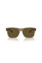brown-havana-sunglasses-ea-4208