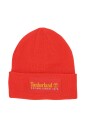 established-1973-beanie
