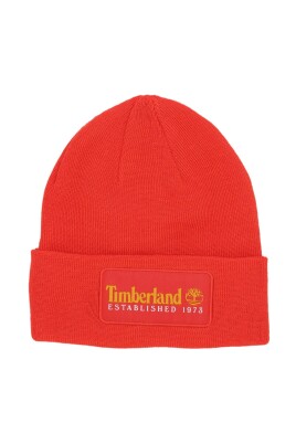 established-1973-beanie