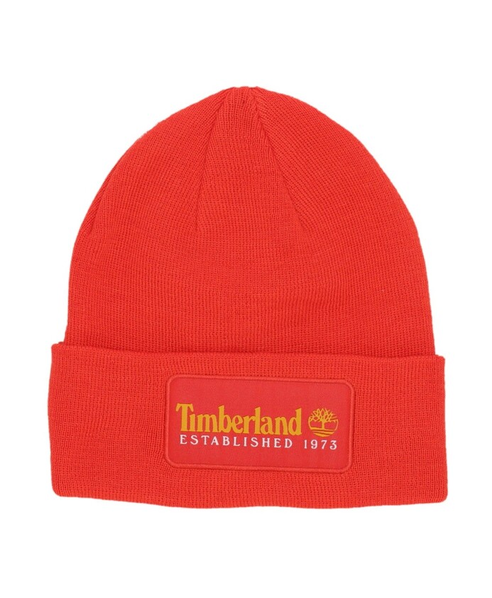 established-1973-beanie