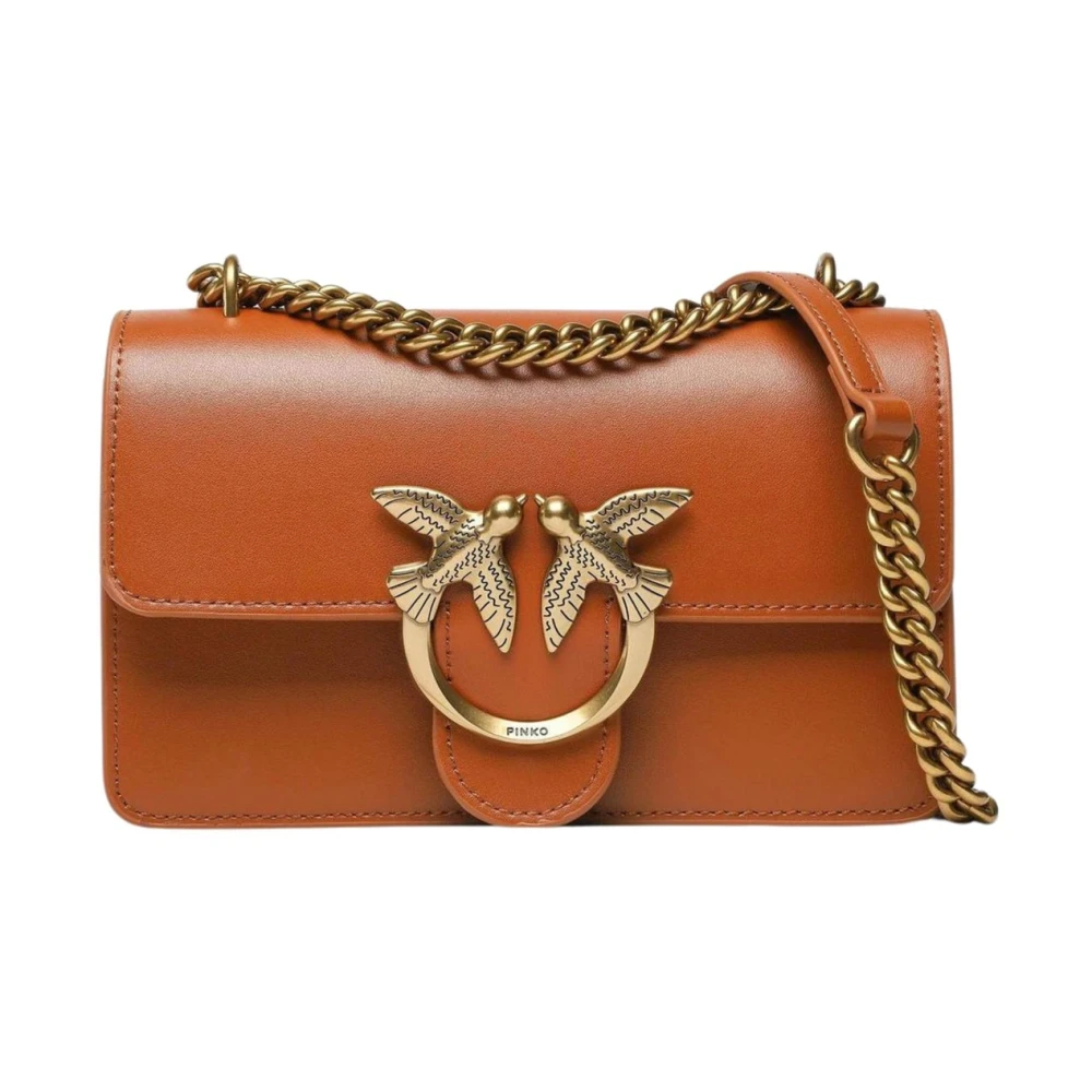 pinko Stijlvolle Handtas voor Trendy Vrouwen Brown Dames