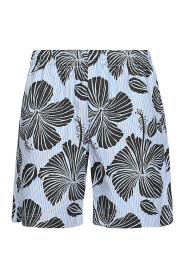 Casual Shorts