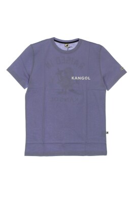 basic-tee-iced-lilac-menand-39-s-t-shirt