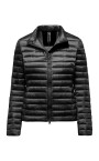 bright-nylon-jacket-with-synthetic-padding
