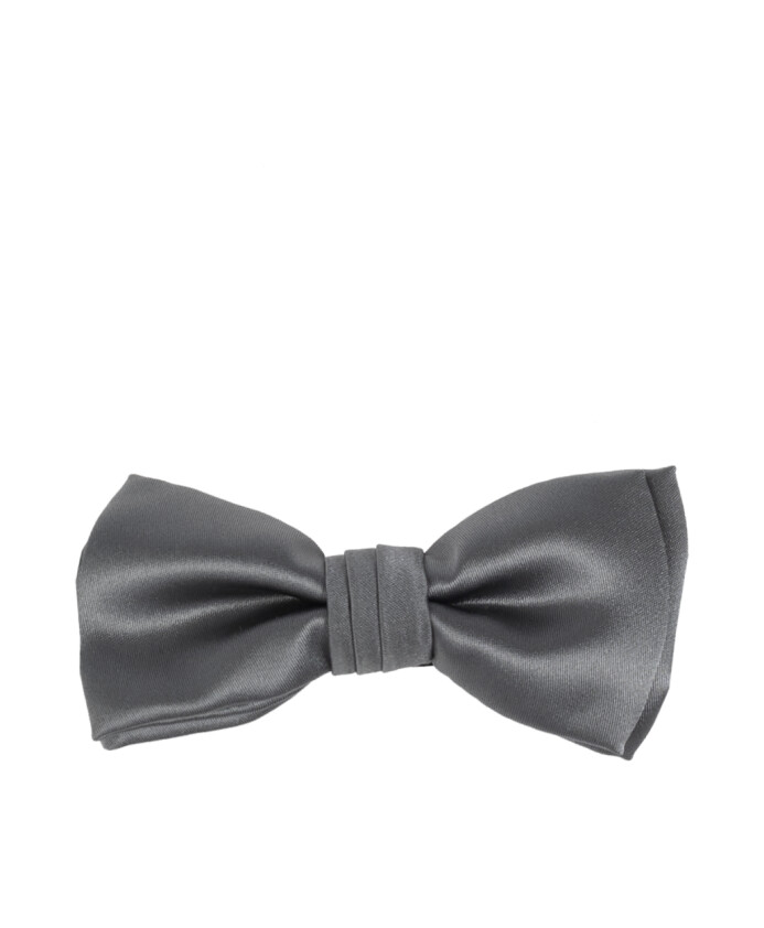 papillon-en-soie