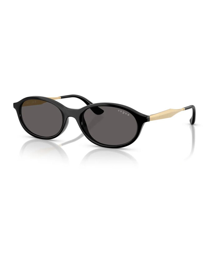 bold-oval-sunglasses-black-gold-frame