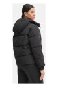 bomber-noir