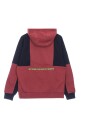 air-po-bb-hoodie-long-sleeve