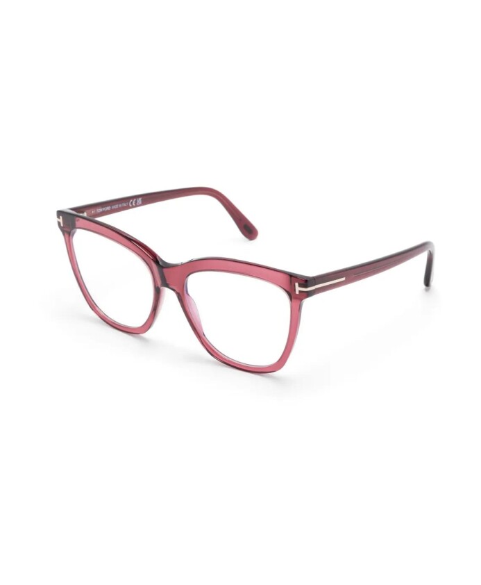ft6042b-069-optical-frame