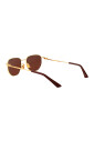 stylish-sunglasses-bv1301s