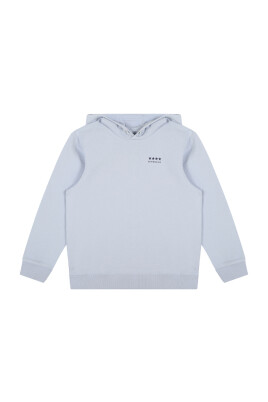 pale-blue-hooded-sweatshirt