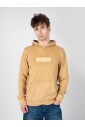 sweat-a-capuche-classique