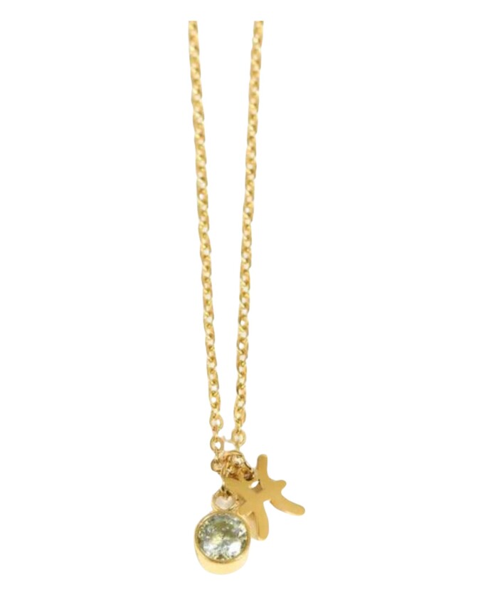 maart-vissen-ketting-goud-plating