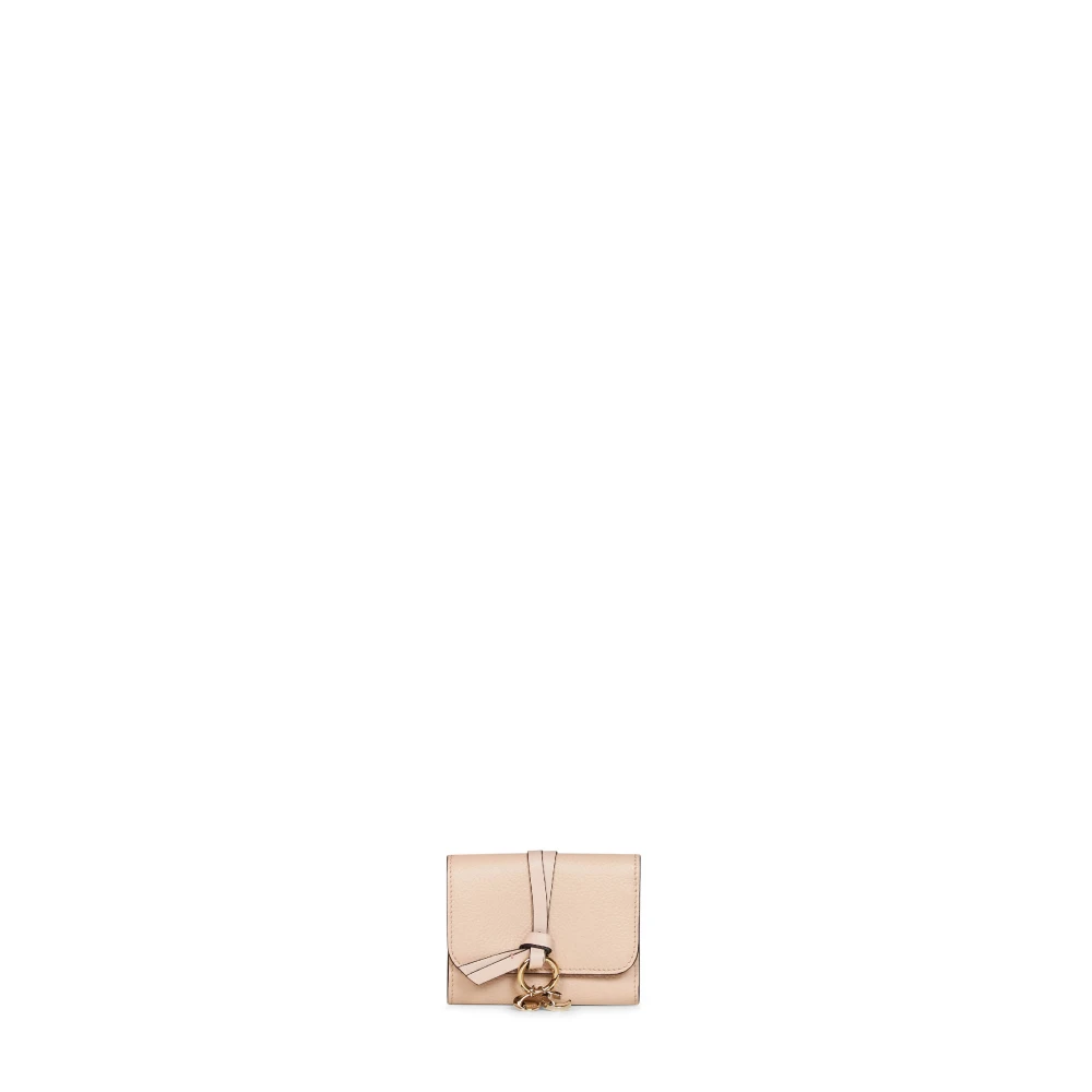 Chloé Donna Rosa Accessori, Taglia Unica, New,