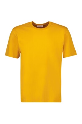orange-cotton-t-shirt-standard-model