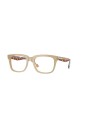 brown-frame-sunglasses