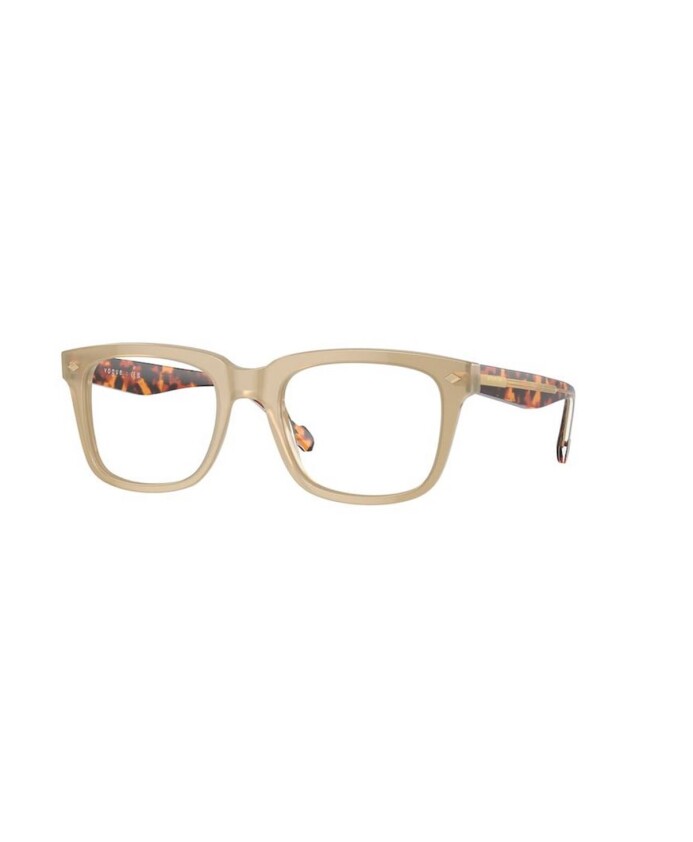 brown-frame-sunglasses