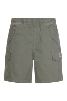 cargo-beach-short