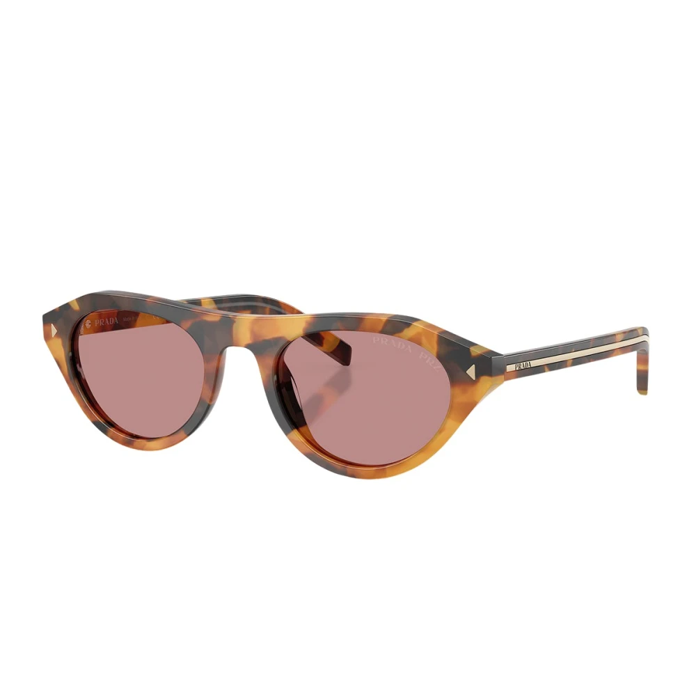 Prada Unisex Bruin Pr B15s Sunglasses