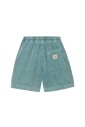 silver-pine-casual-shorts