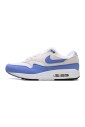 royal-pulse-air-max-1-sneakers