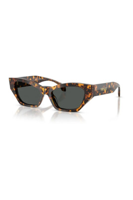 cat-eye-sunglasses-in-havana-tortoiseshell