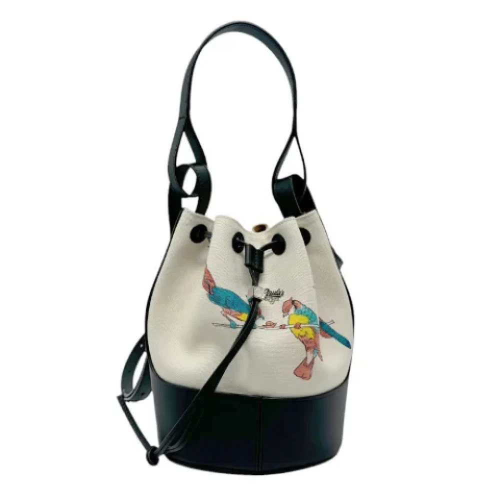 Loewe Pre-owned Canvas handbags White Dames