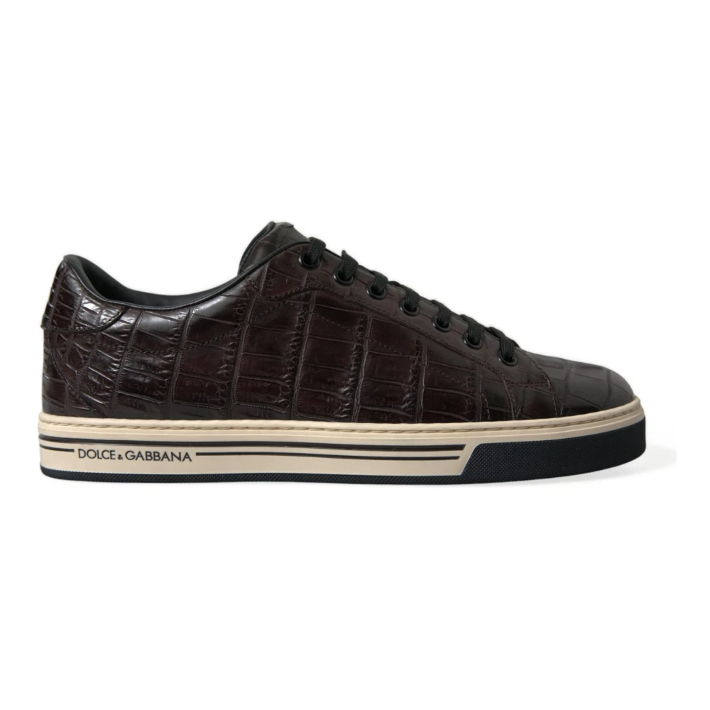Dolce & Gabbana Men's Brown Sneakers, 5 Uk, Low-Top Trainers