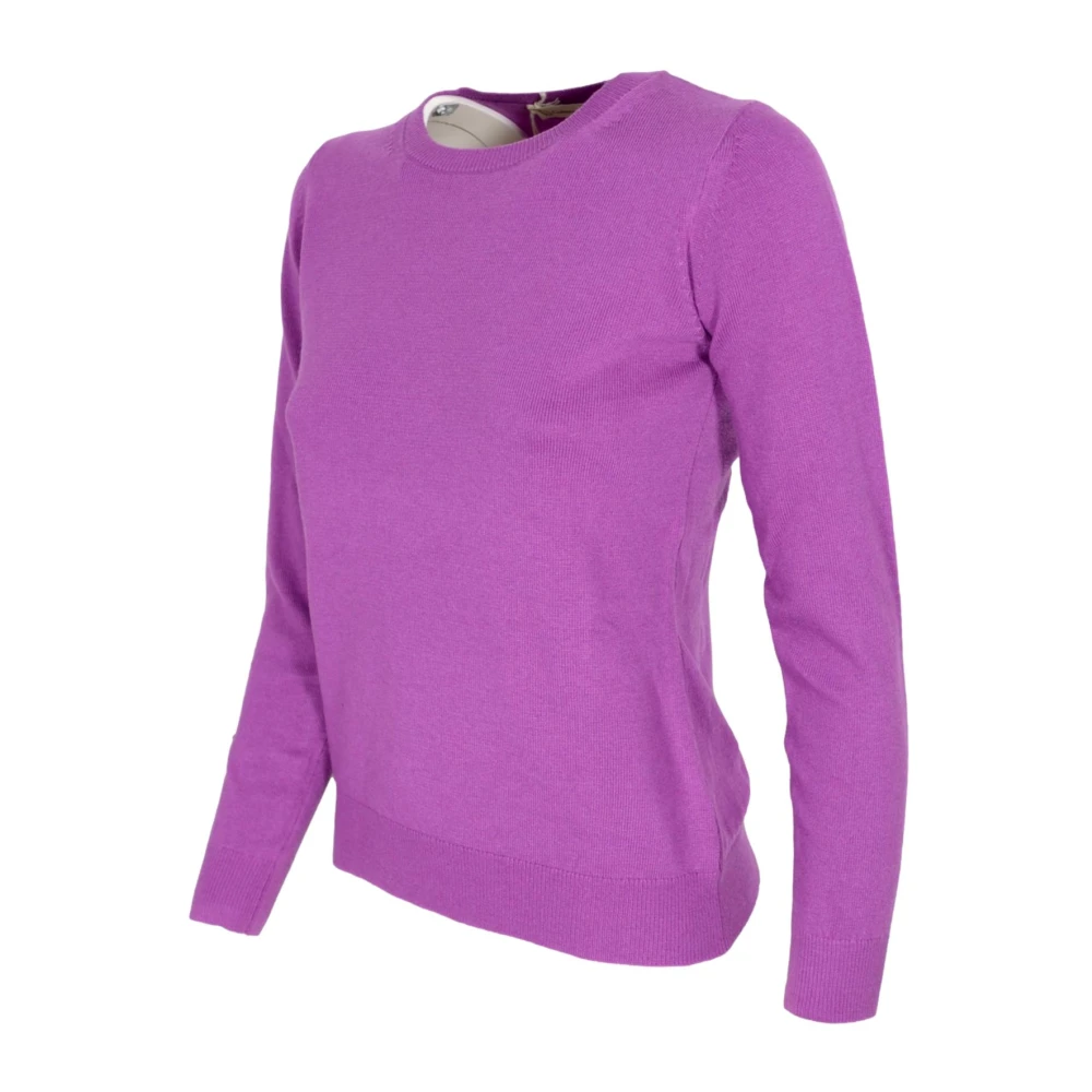 Cashmere Company Paarse Cashmere en Wollen Trui Purple Dames