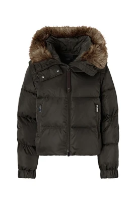 Godetia M04 Jacka