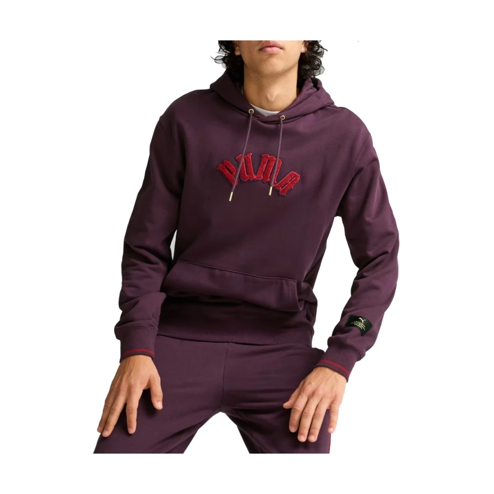 Puma Paris Classics Hoodie Purple Heren