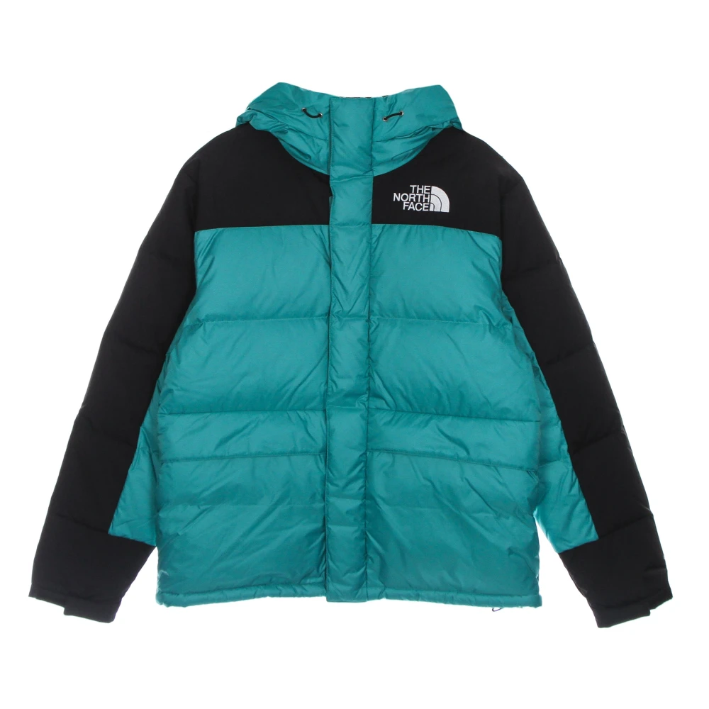 The North Face Groene Dons Parka Jas Green Heren