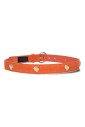riem-met-studs-en-schelpen