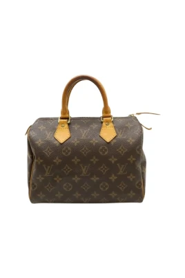Pre-owned Speedy 25 Handbag