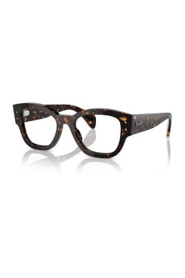 rb7681v-2012-optical-frame