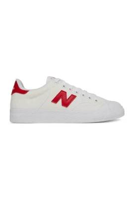 100 Skate Shoe