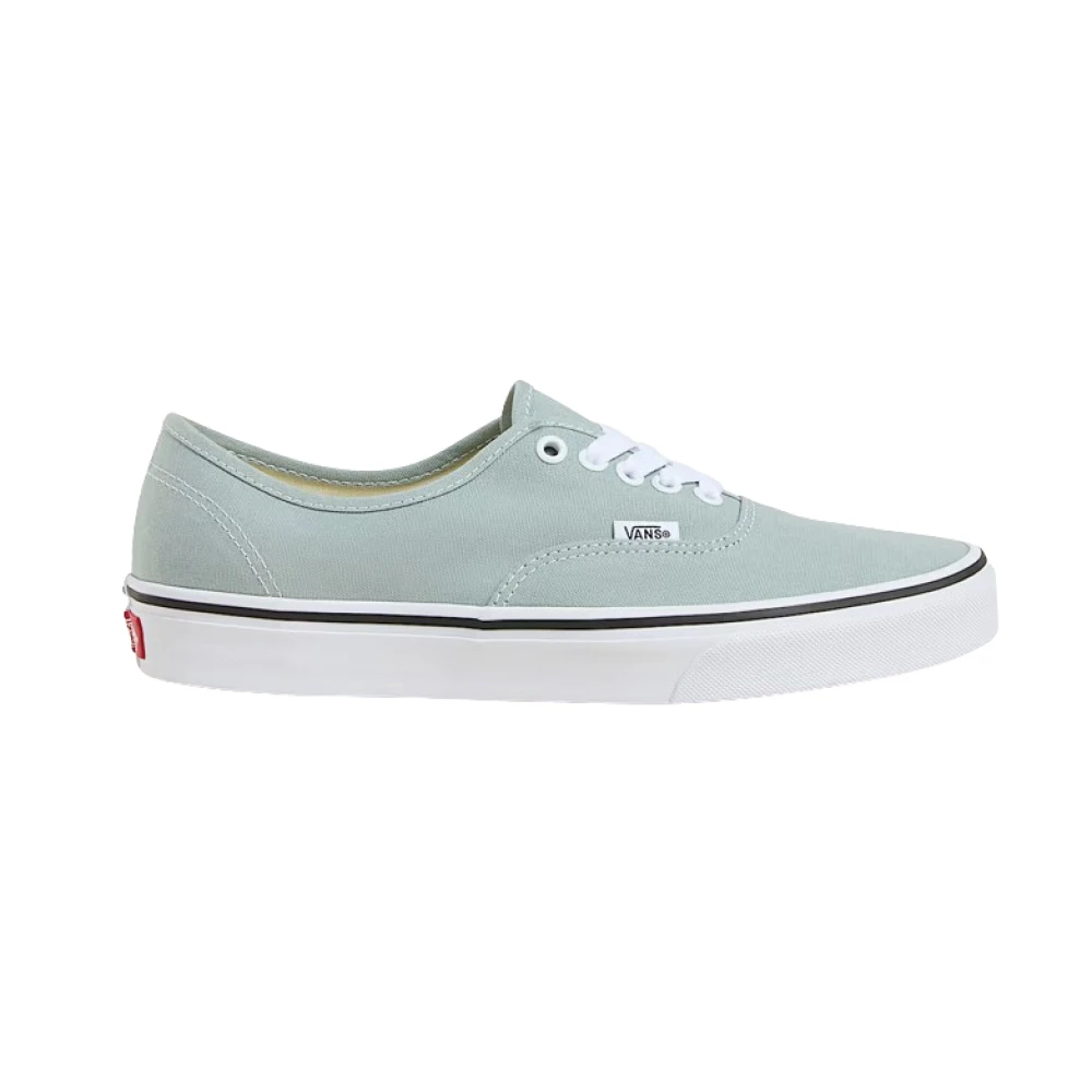Vans Authentic Heren Schoenen Grijs