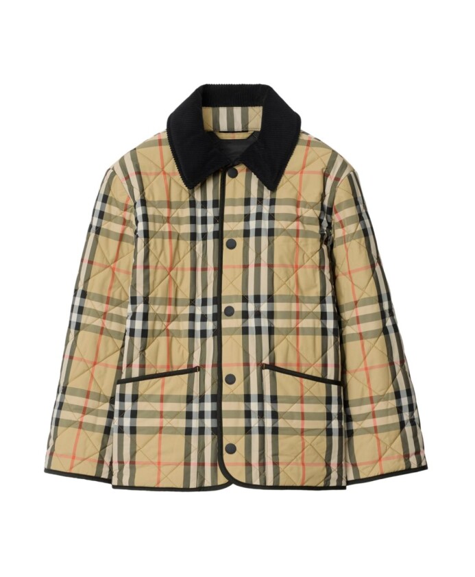 enfants-gris-vestes-col-en-velours-cotele