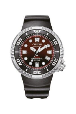 promaster-marine-bn1024-01z