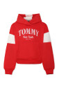 crop-sweatshirt-with-vintage-logo