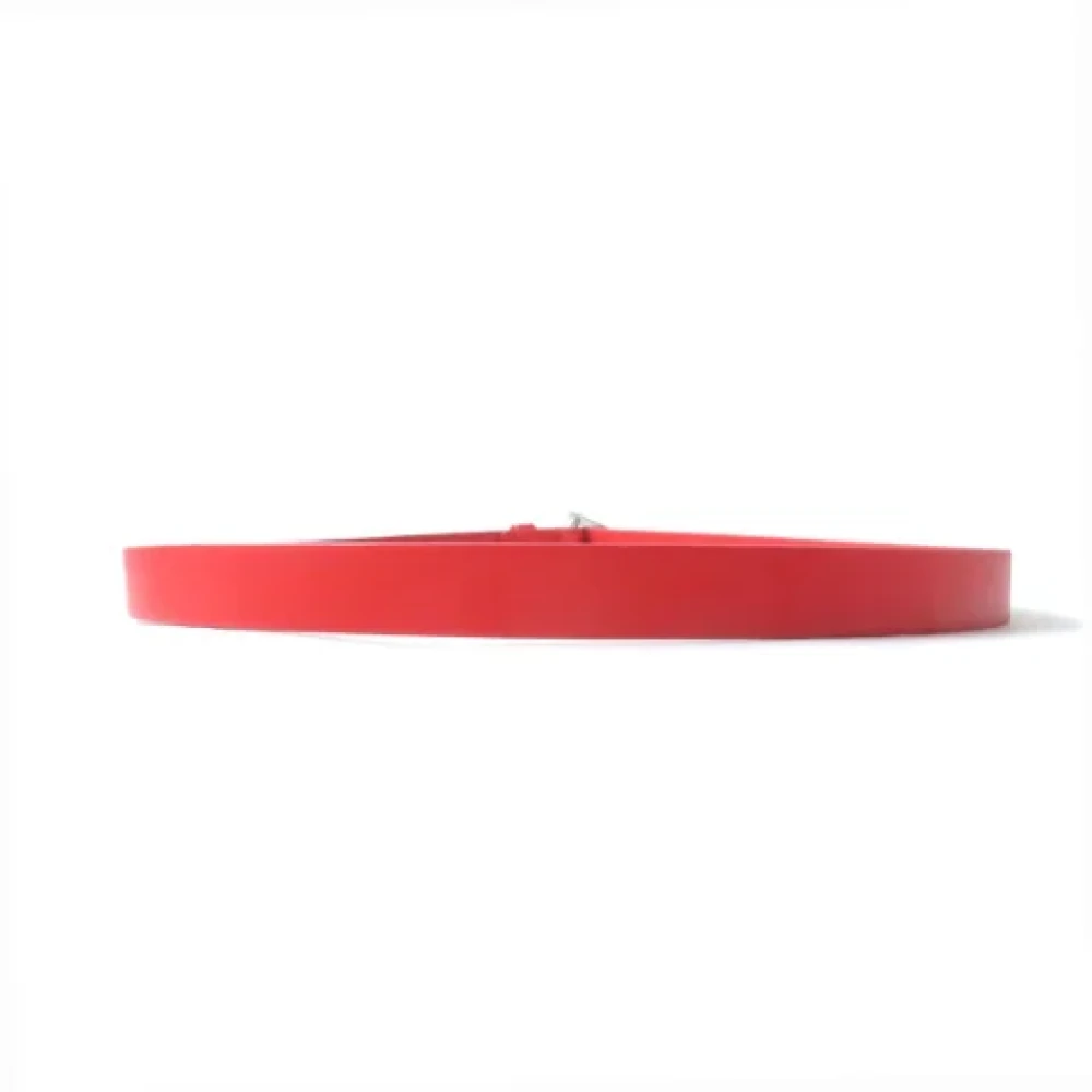 Bottega Veneta Vintage Pre-owned Leather belts Red Dames