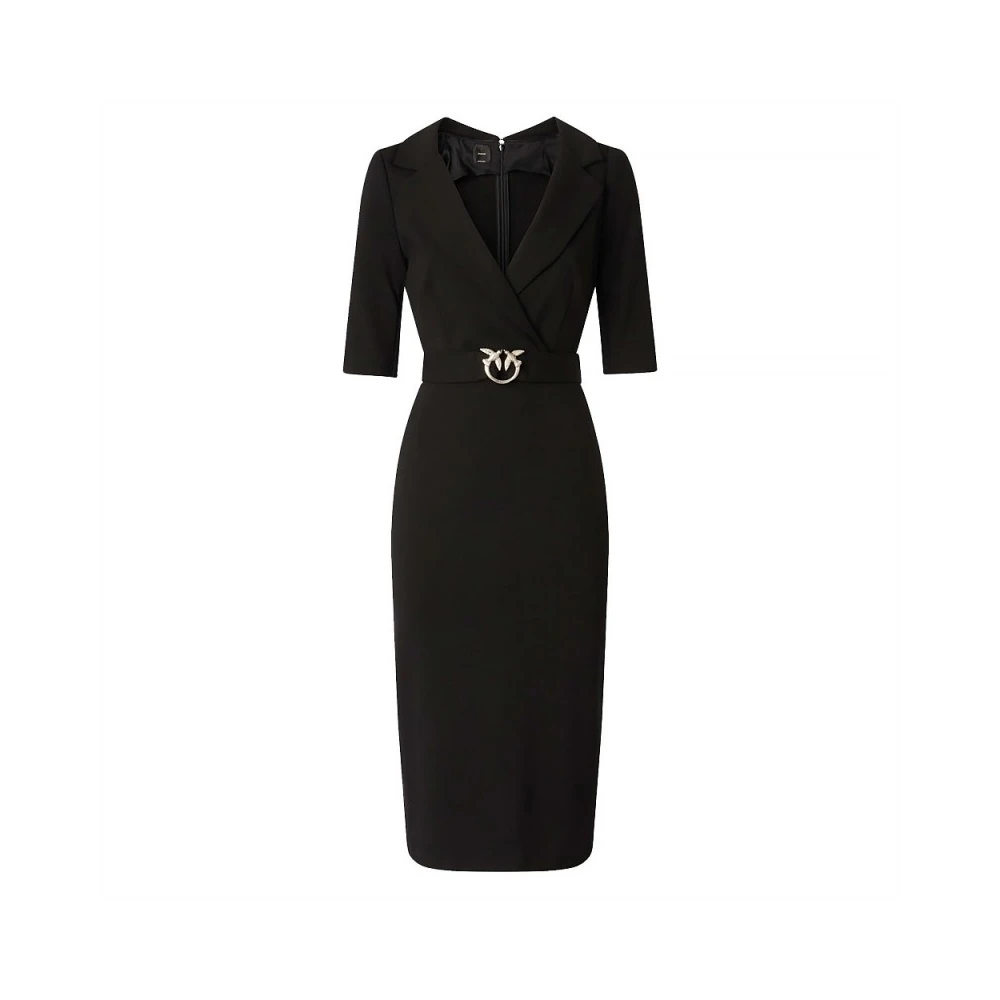 Pinko , Damen, Kleider, Schwarzk, L