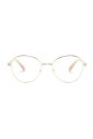 sk1013-4004-optical-frame