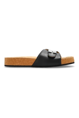 x Scholl