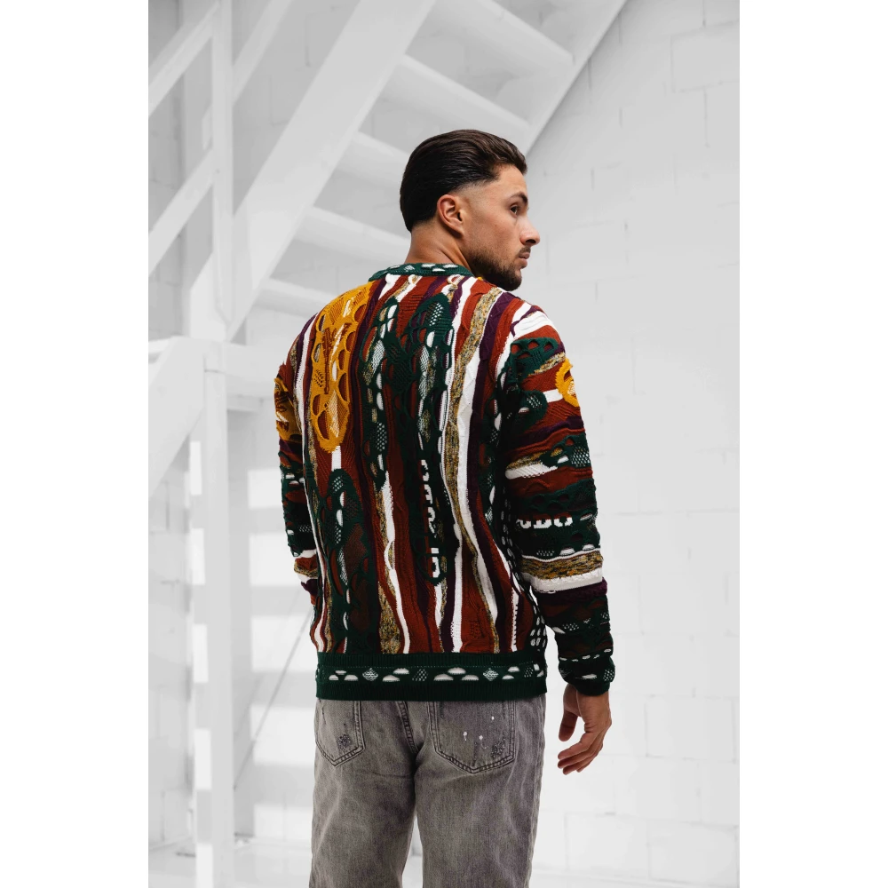 carlo colucci Groene Sweater Heren Trendy Patroon Multicolor Heren