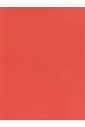 echarpe-en-soie-rouge-style-elegant