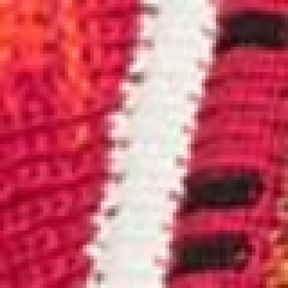carlo colucci Moderne Gebreide Trui Corisell Multicolor Heren