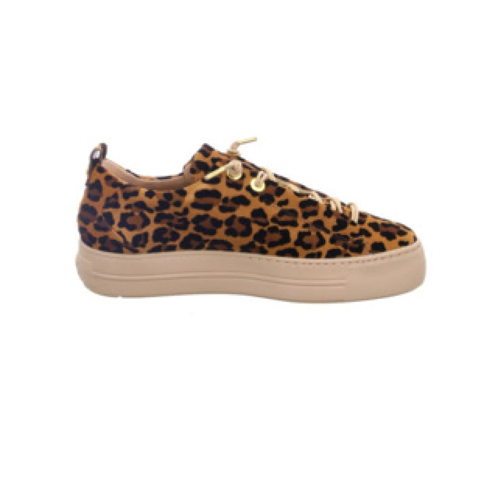 Paul Moderne damessneaker in effen Multicolor