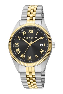 stainless-steel-roman-numeral-watch